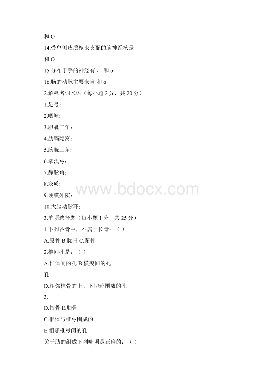 最新中职系统解剖学试题五.docx_第2页