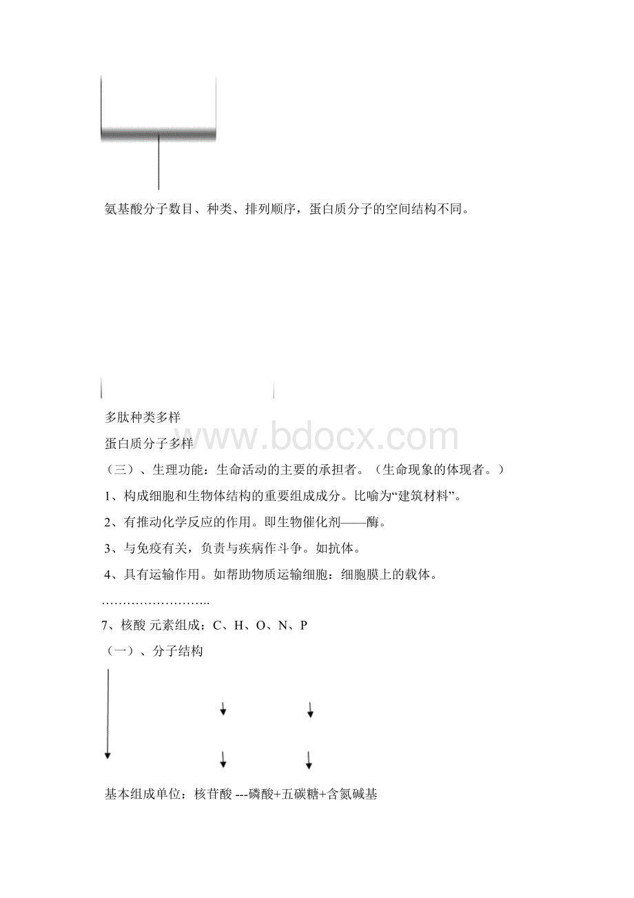 生物必修知识点浙江省Word格式.docx_第3页