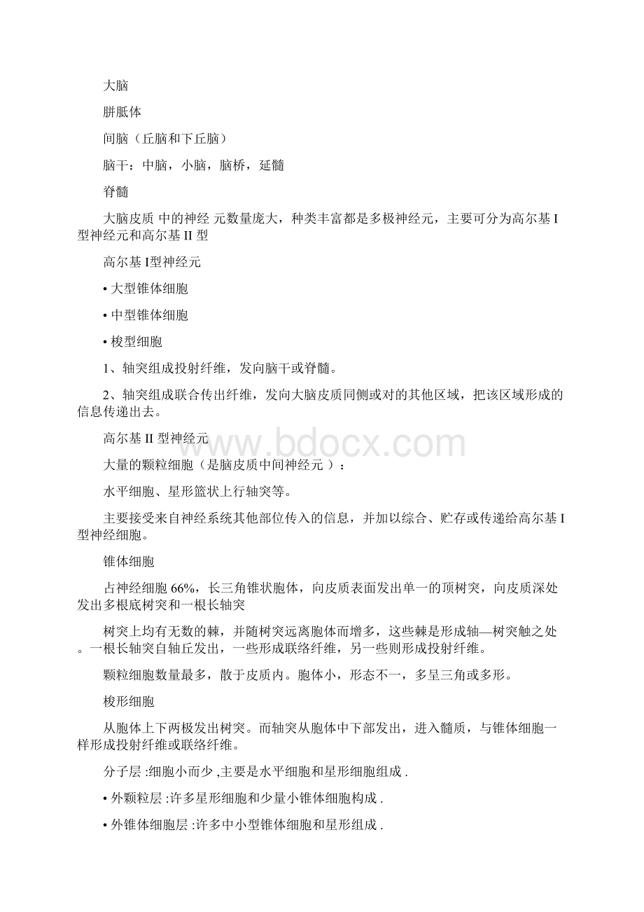 神经系统笔记Word下载.docx_第3页