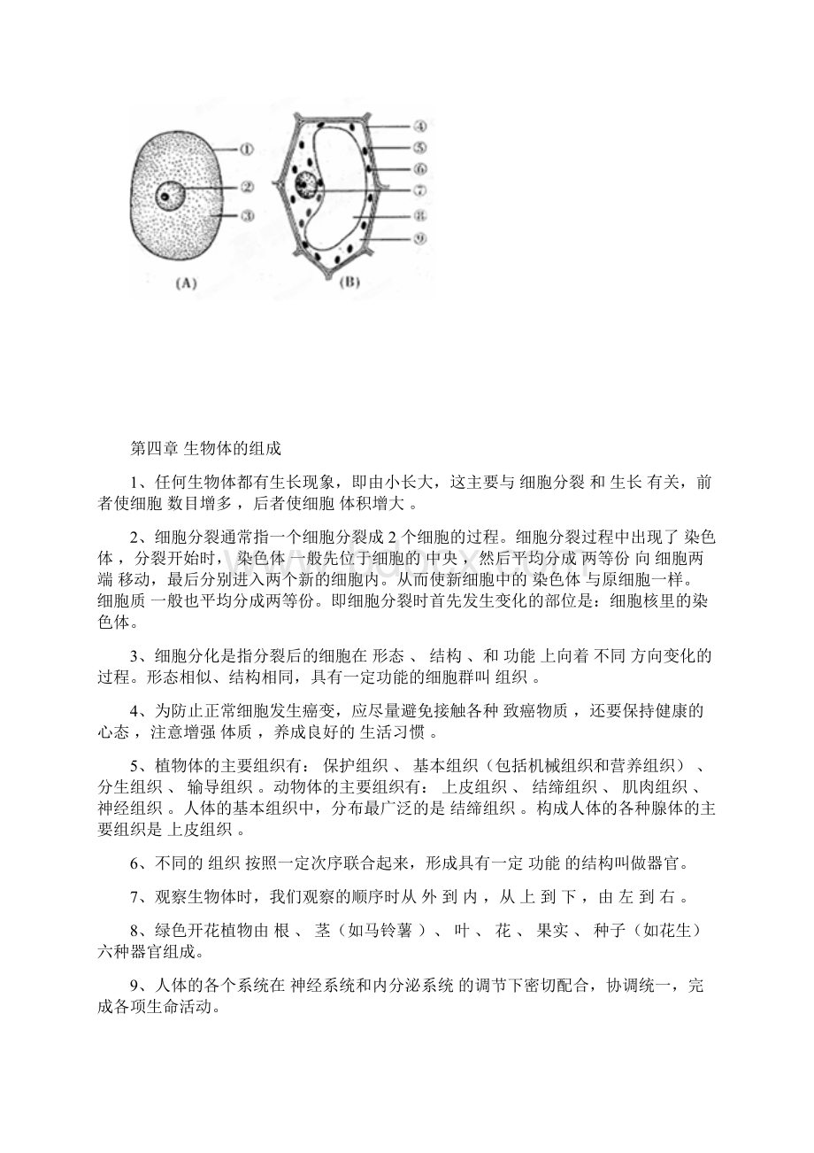 湘教版七年级上生物复习提纲汇总Word格式文档下载.docx_第3页