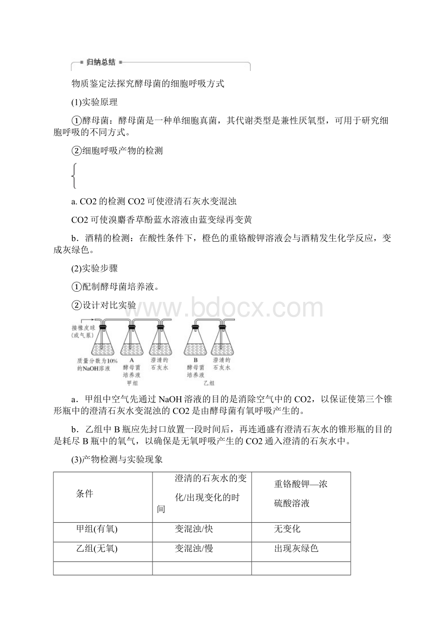 高考生物大一轮复习热点题型二探究光合作用细胞呼吸的方式及速率的测定方法学案.docx_第2页