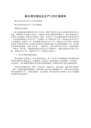 林白项目部安全生产工作汇报材料.docx