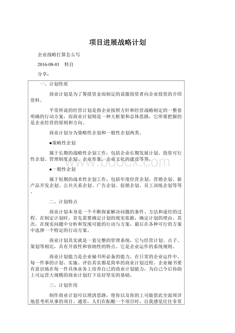 项目进展战略计划.docx_第1页