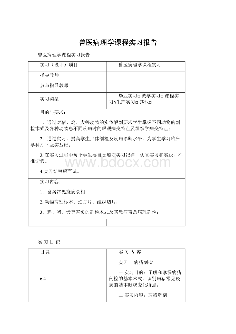 兽医病理学课程实习报告Word文档格式.docx_第1页