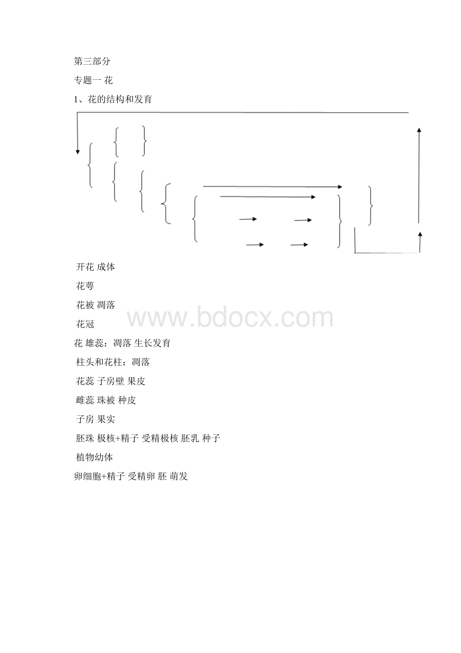 初中科学关于植物复习Word下载.docx_第3页