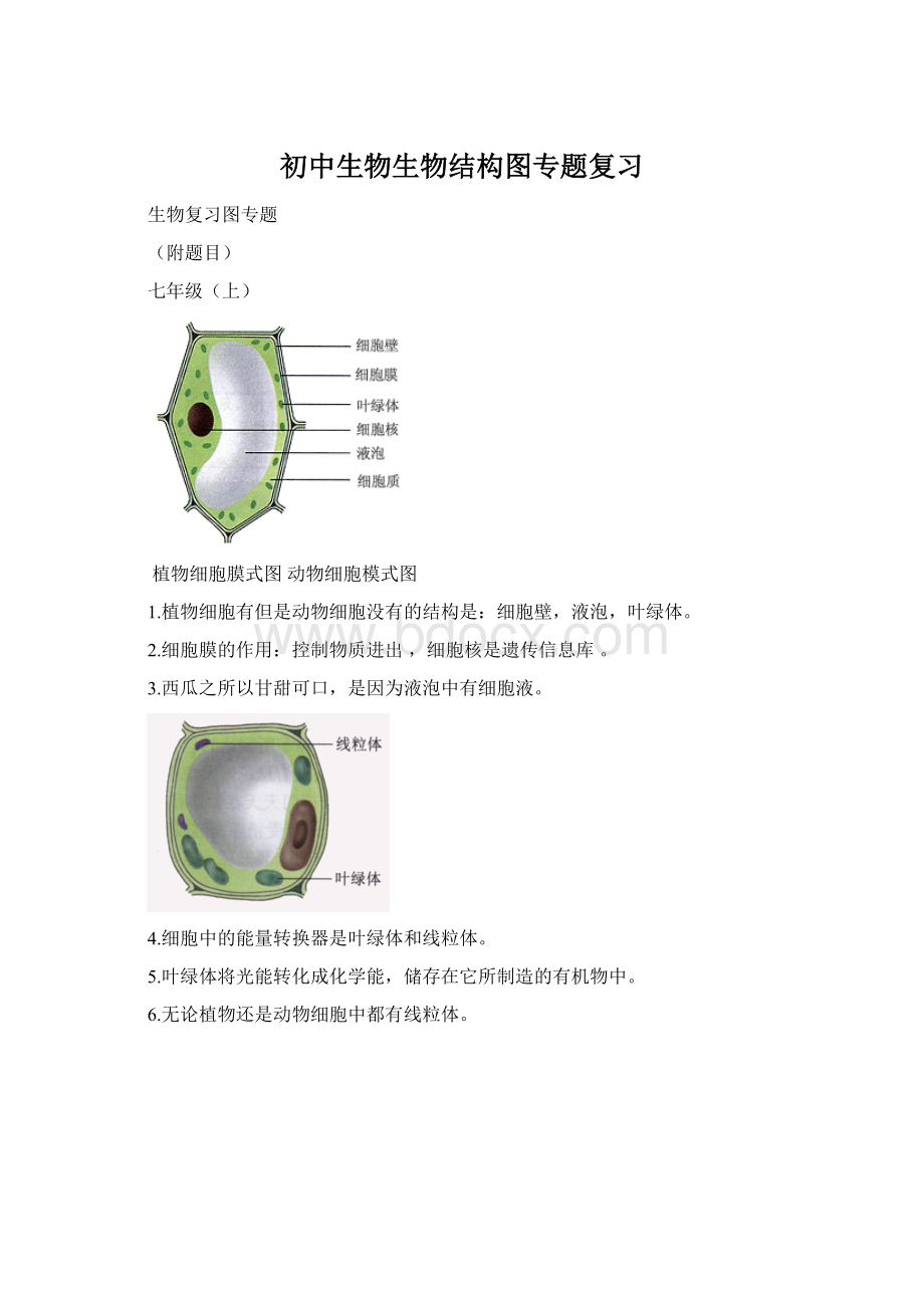 初中生物生物结构图专题复习.docx_第1页