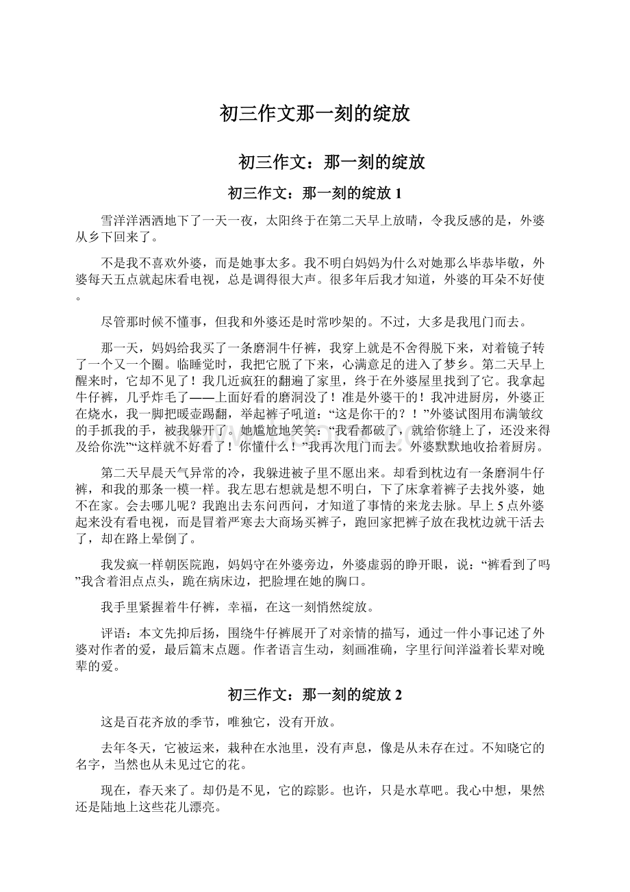 初三作文那一刻的绽放.docx