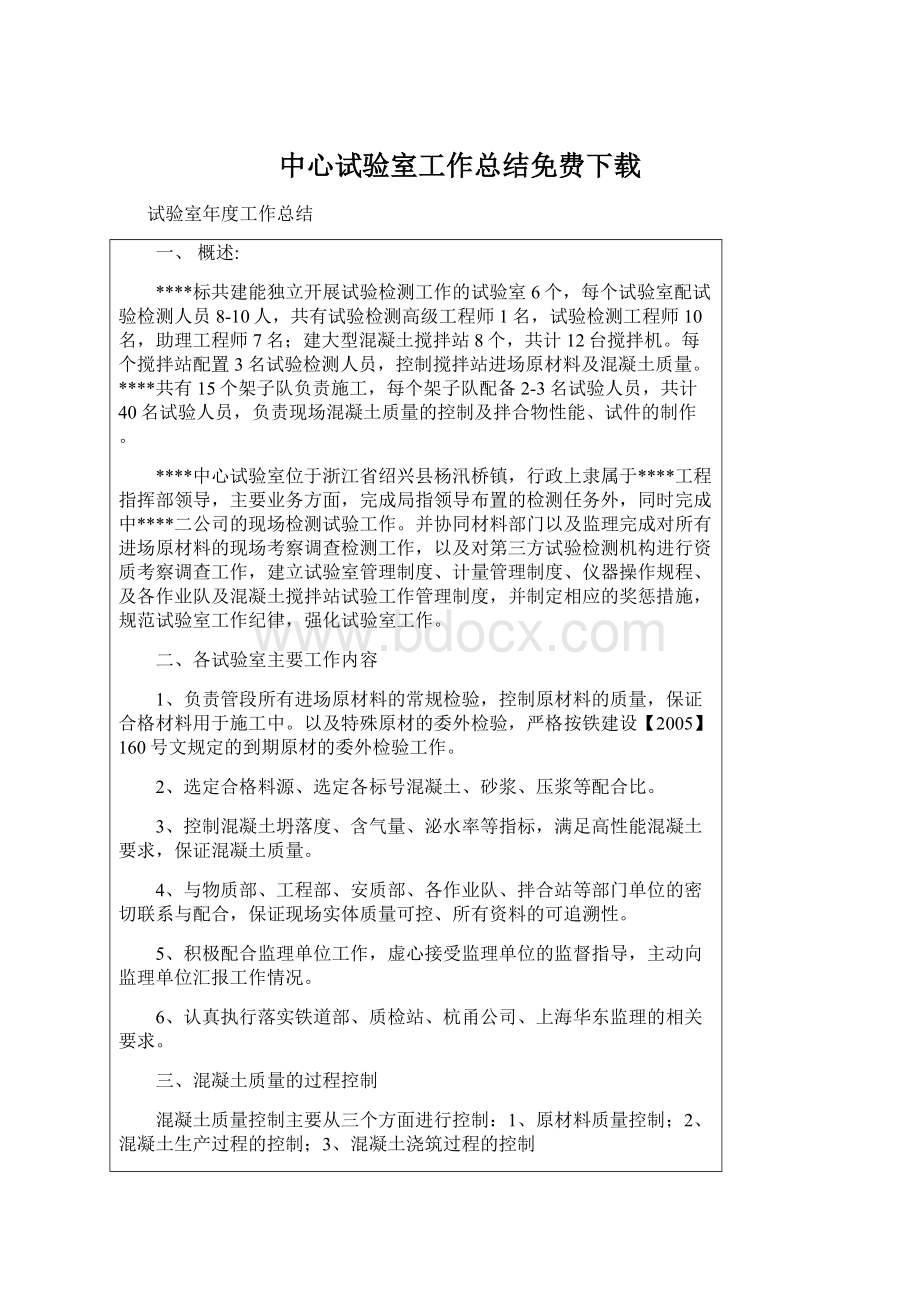 中心试验室工作总结免费下载.docx