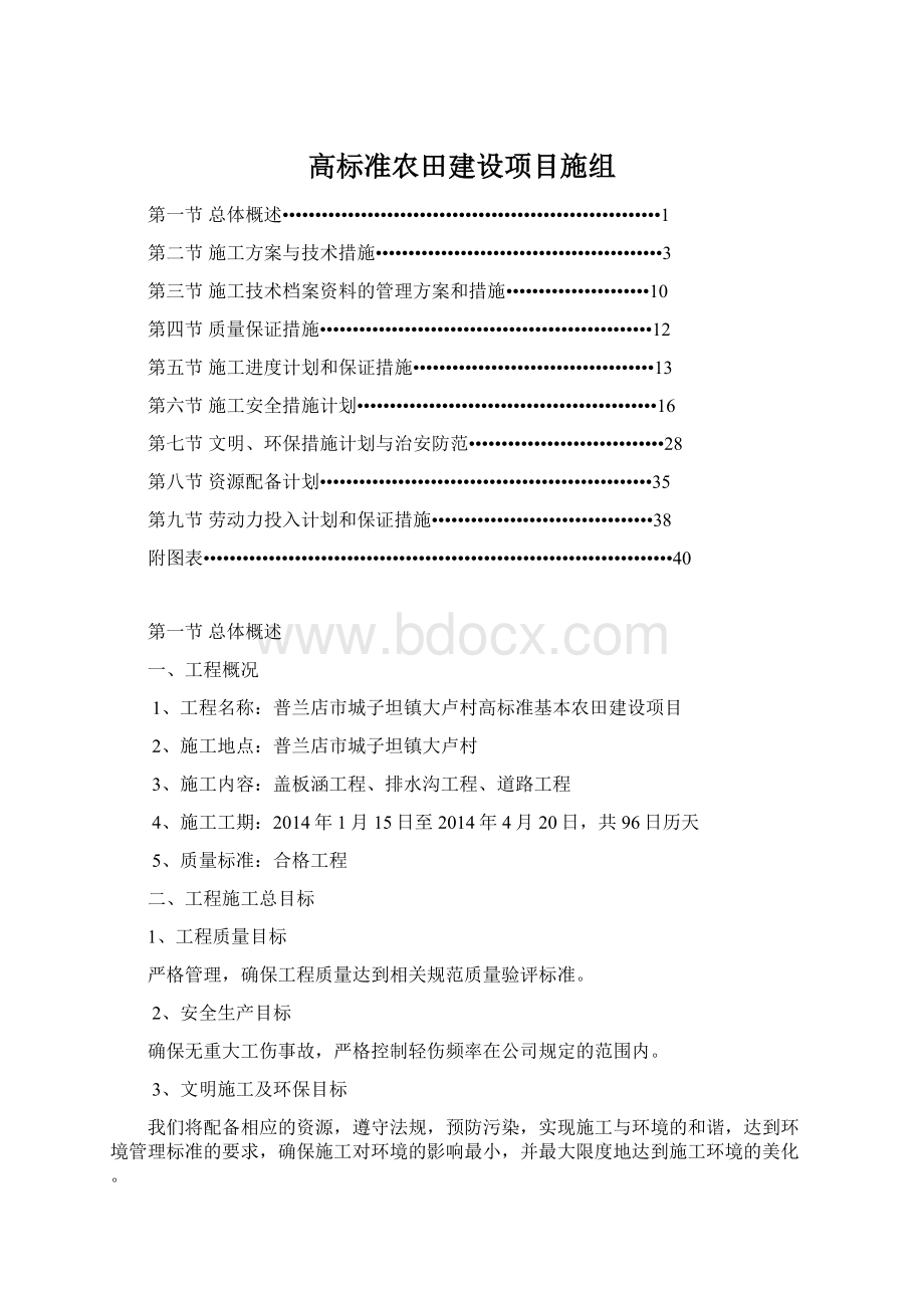 高标准农田建设项目施组Word文档格式.docx