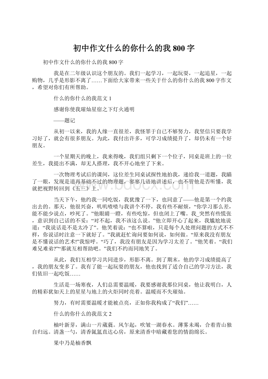 初中作文什么的你什么的我800字.docx