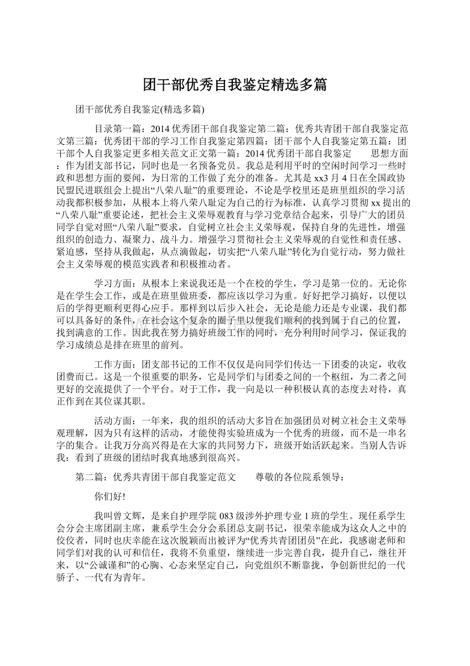 团干部优秀自我鉴定精选多篇文档格式.docx