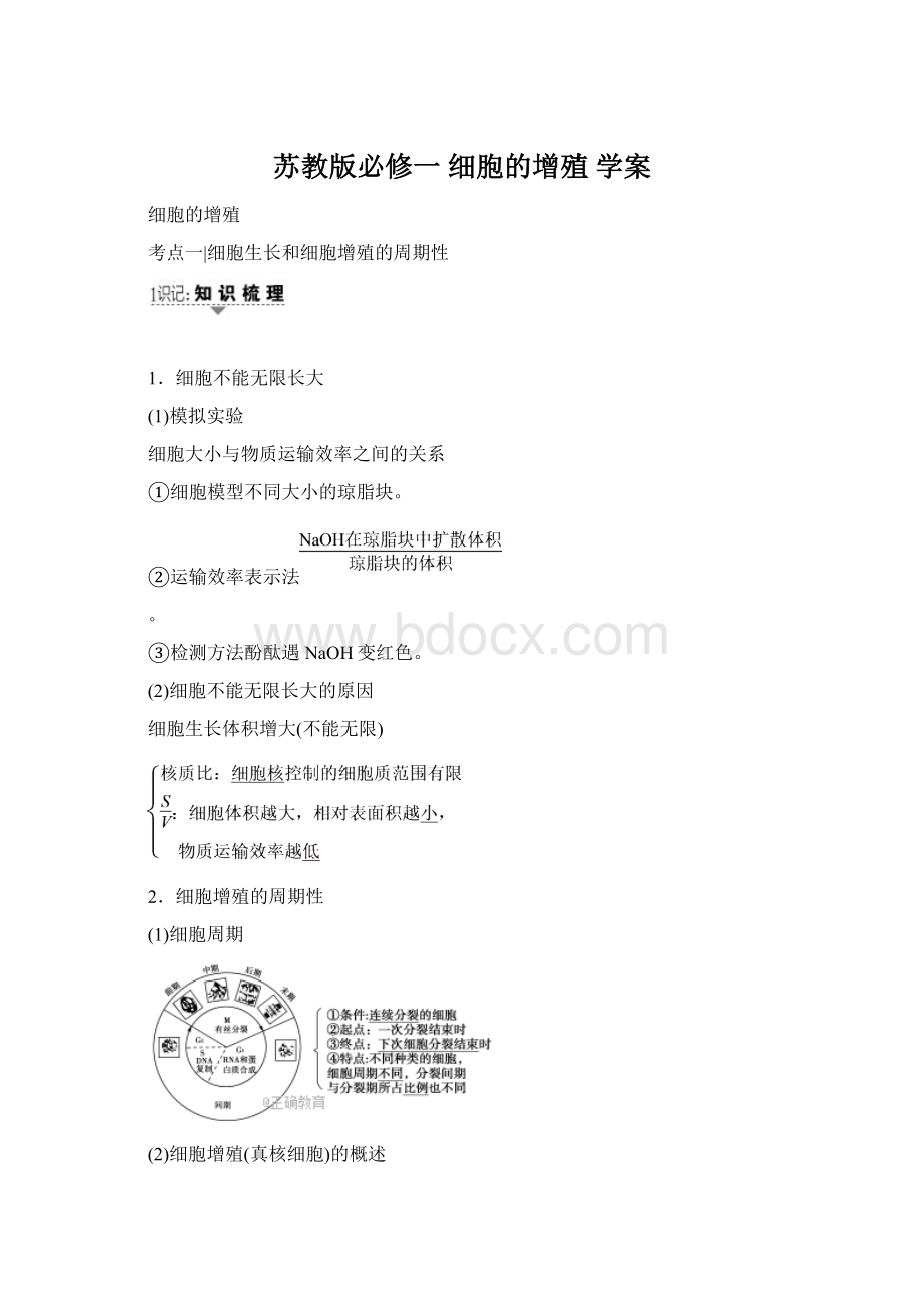 苏教版必修一 细胞的增殖 学案.docx