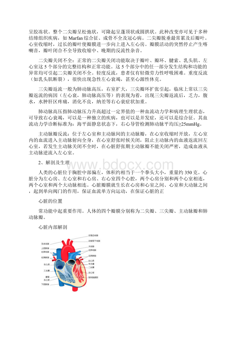 心胸外科护理个案教学文案文档格式.docx_第2页