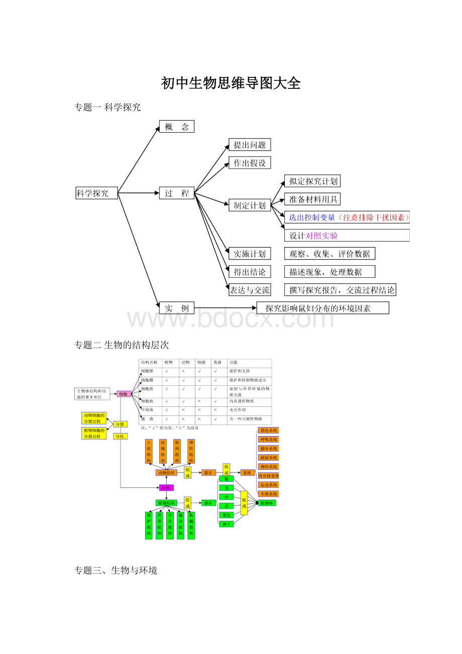 初中生物思维导图大全Word文档格式.docx