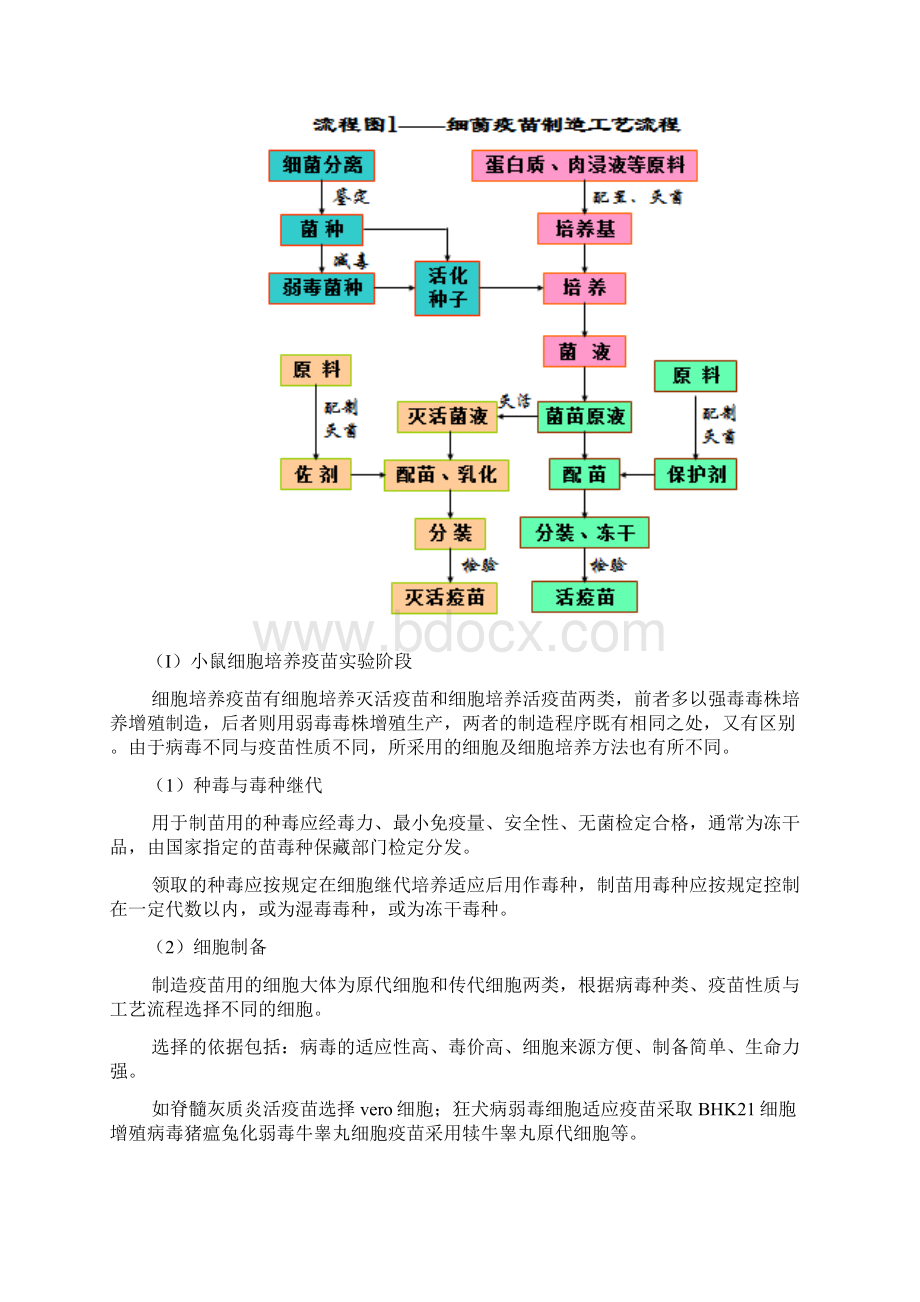 疫苗研发word版Word文档下载推荐.docx_第2页