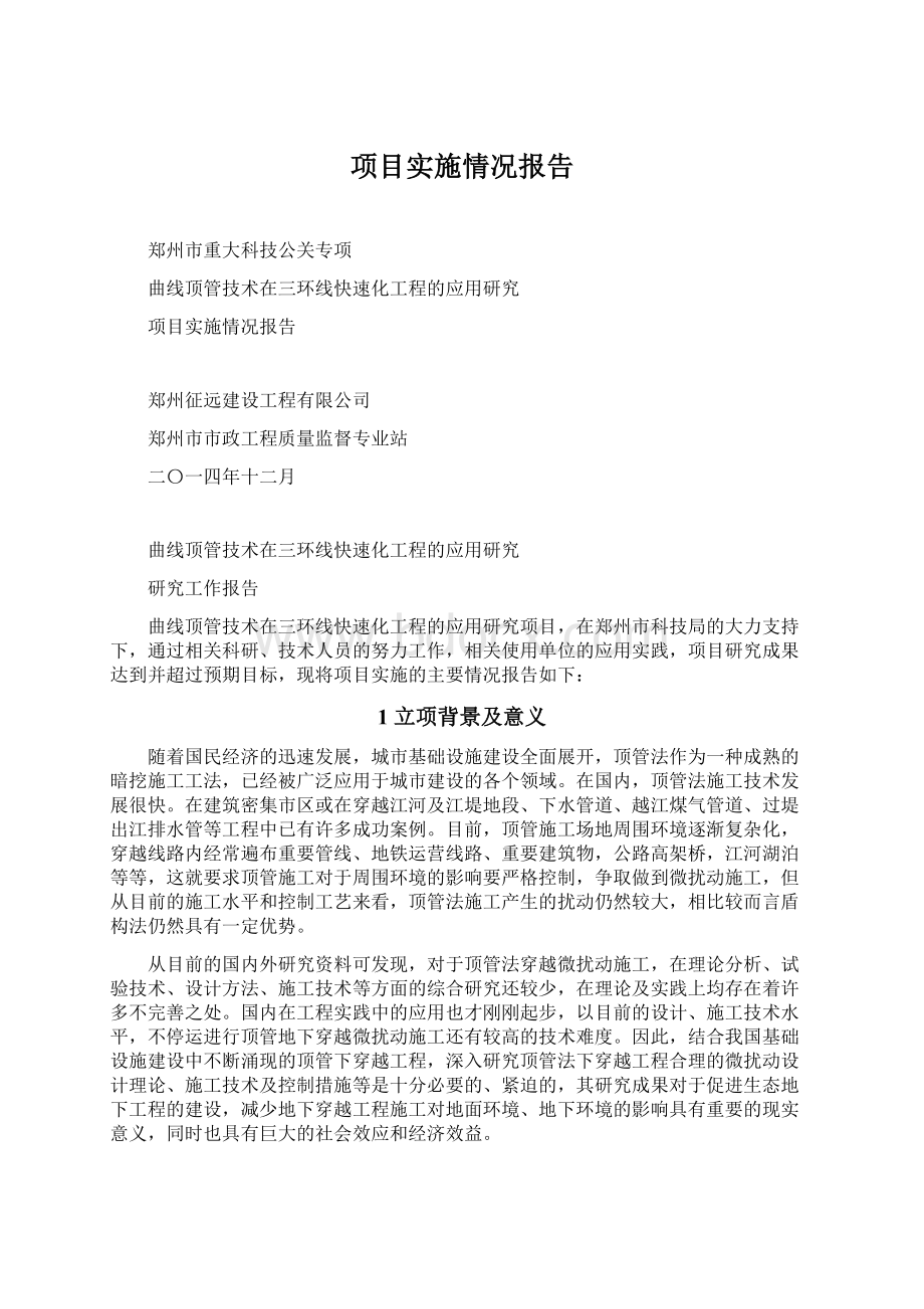 项目实施情况报告Word文档下载推荐.docx