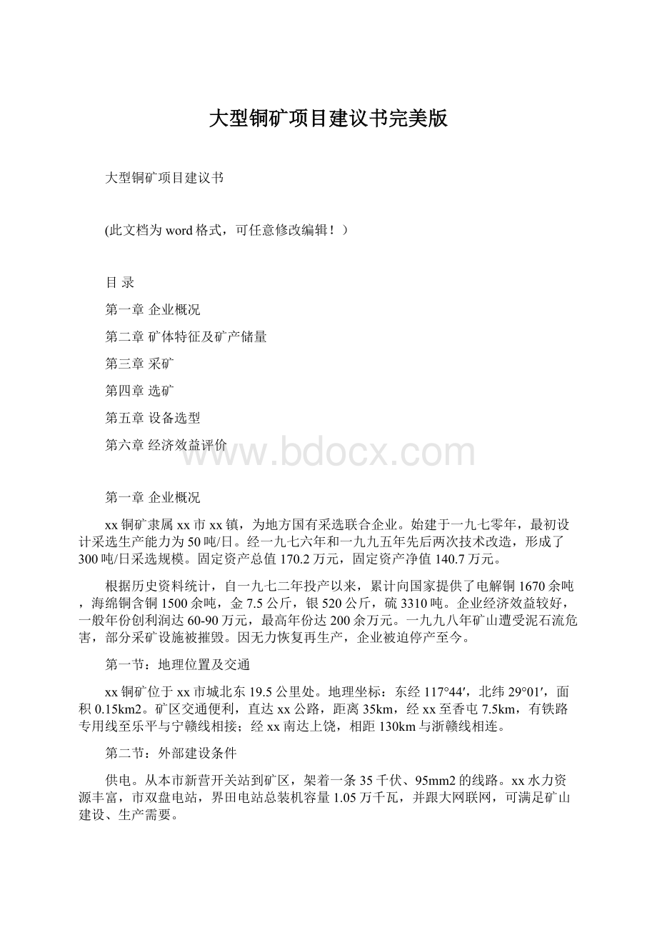 大型铜矿项目建议书完美版文档格式.docx