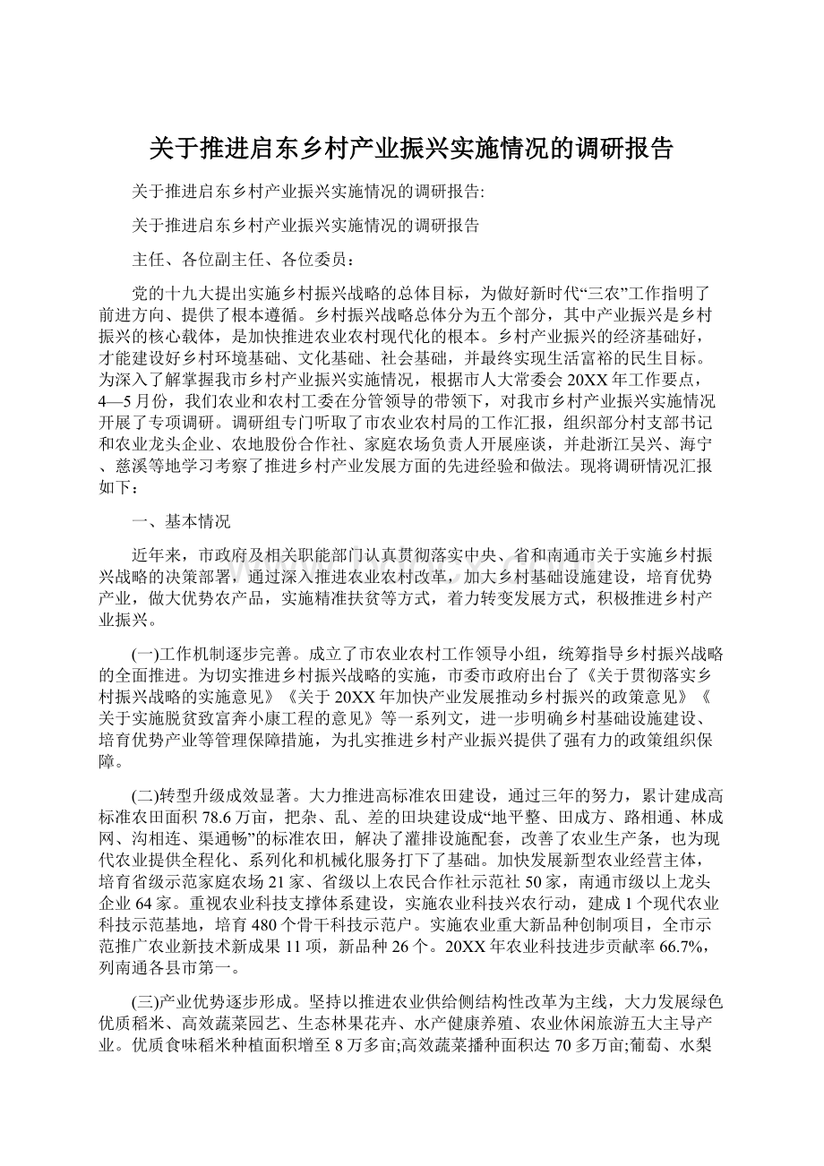 关于推进启东乡村产业振兴实施情况的调研报告文档格式.docx