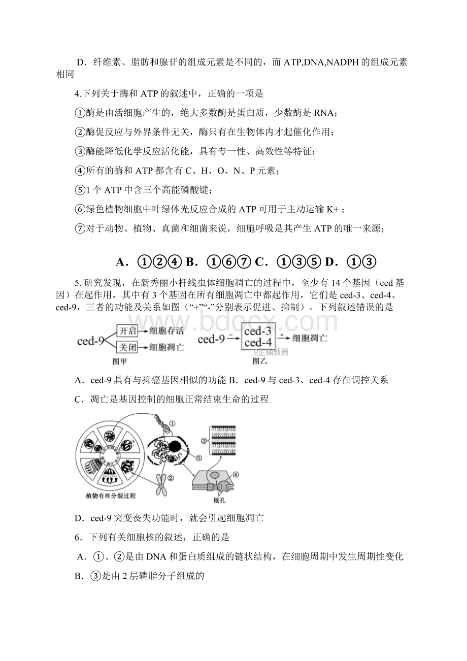 河北省鸡泽县第一中学届高三上学期第三次周测生物试题Word版含答案Word文档格式.docx_第2页