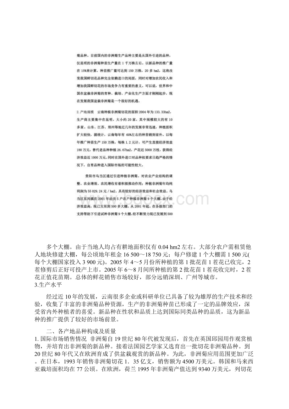 我国非洲菊国内外现状及分析文档格式.docx_第3页