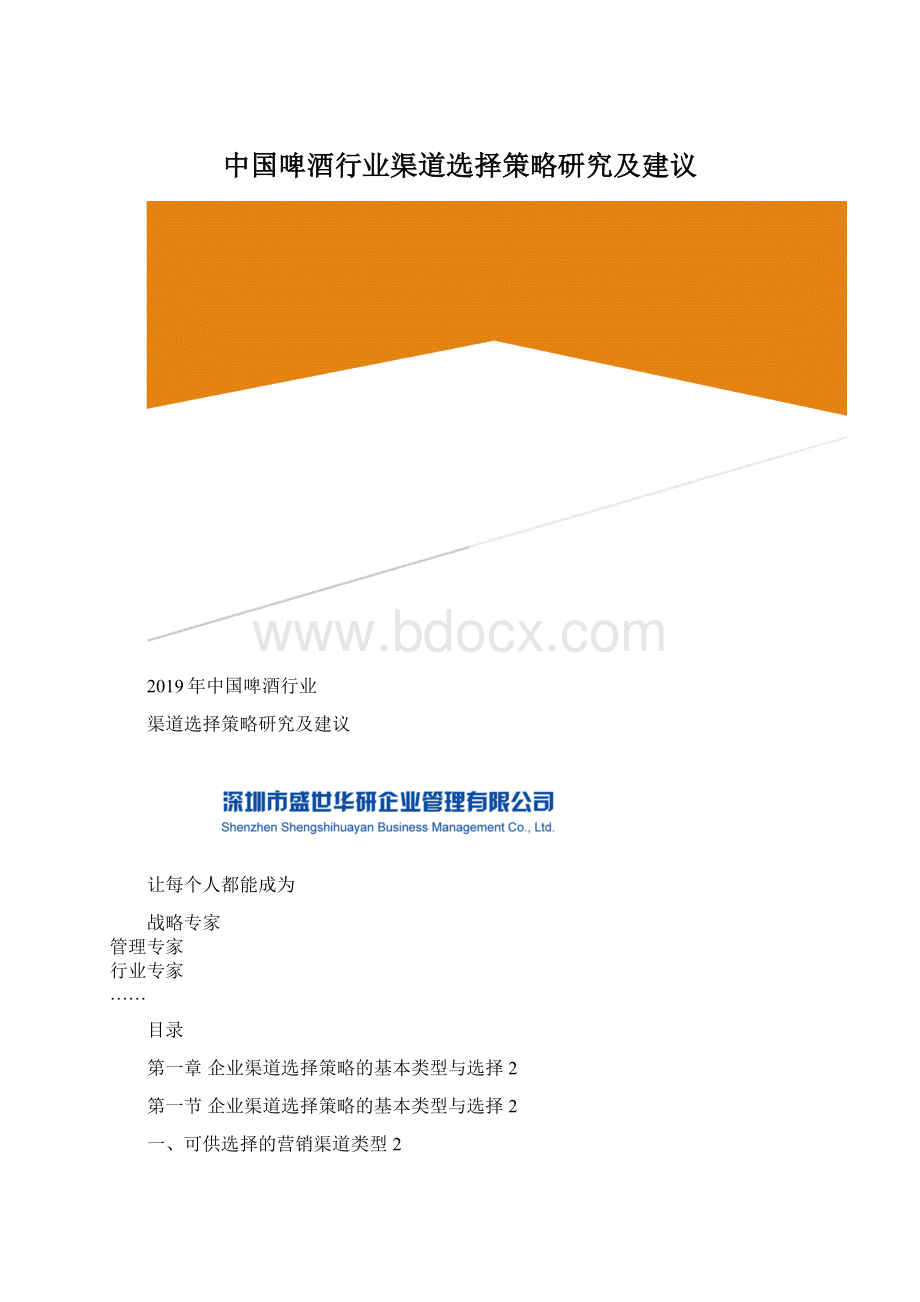 中国啤酒行业渠道选择策略研究及建议Word格式文档下载.docx