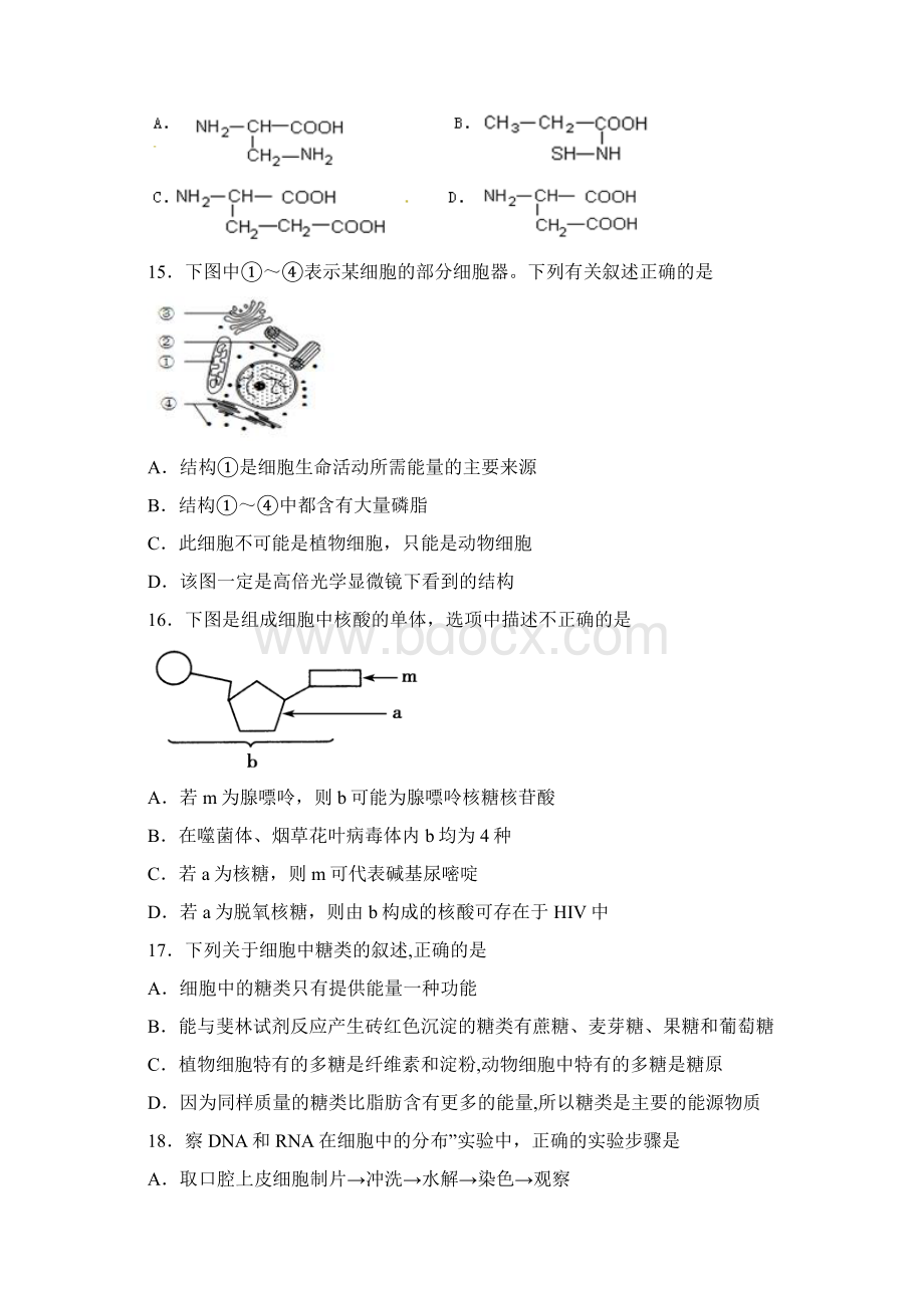 生物河北省石家庄市正定中学学年高一上学期期中考试文档格式.docx_第3页