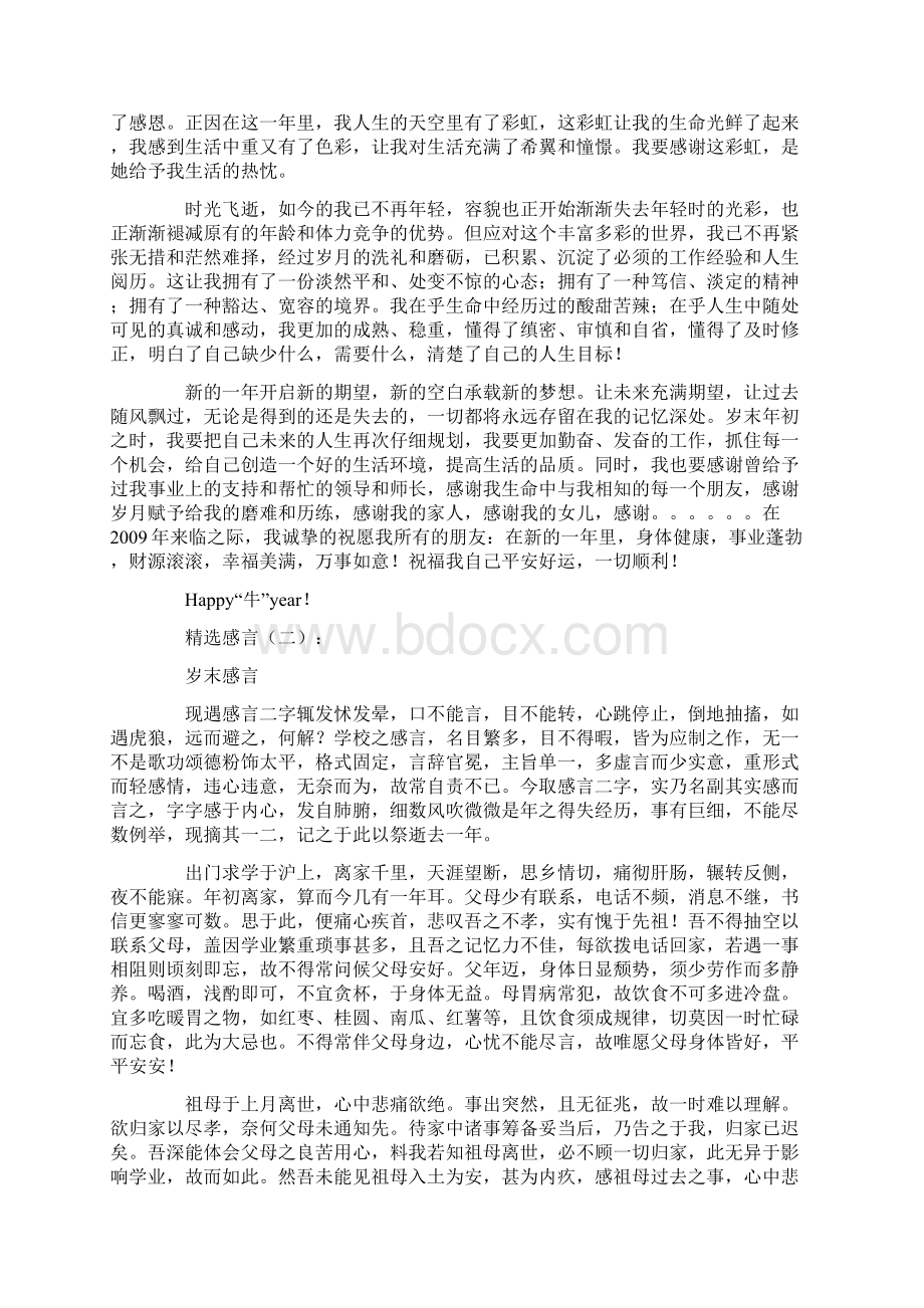 总结范文岁末感言.docx_第2页