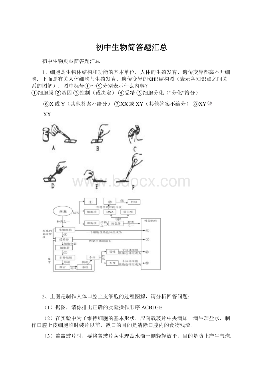 初中生物简答题汇总.docx