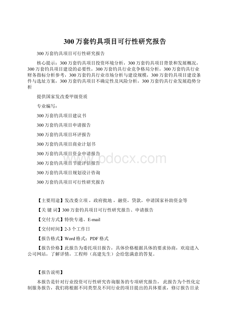 300万套钓具项目可行性研究报告.docx_第1页