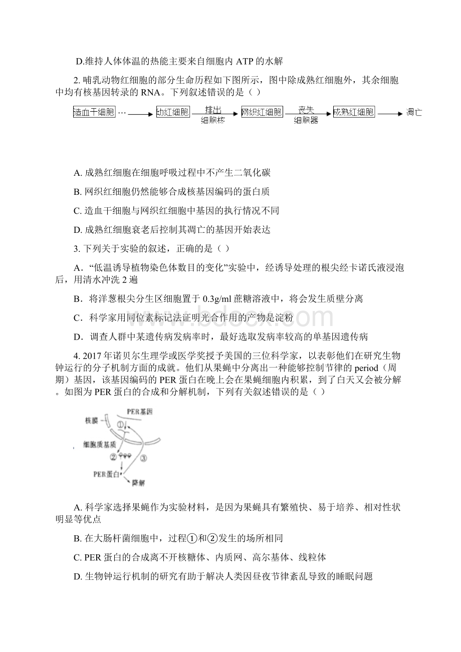 山东省师大附中届高三下学期第八次模拟考试理综试题+Word版含答案Word格式文档下载.docx_第2页