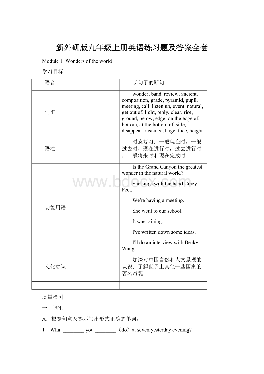 新外研版九年级上册英语练习题及答案全套.docx