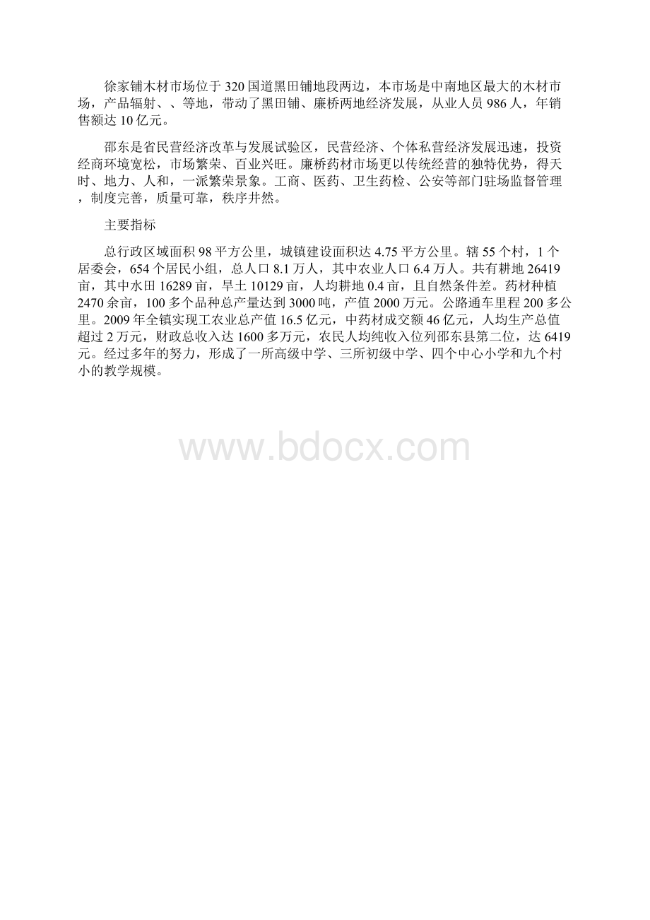 廉桥药都经济发展战略规划.docx_第2页