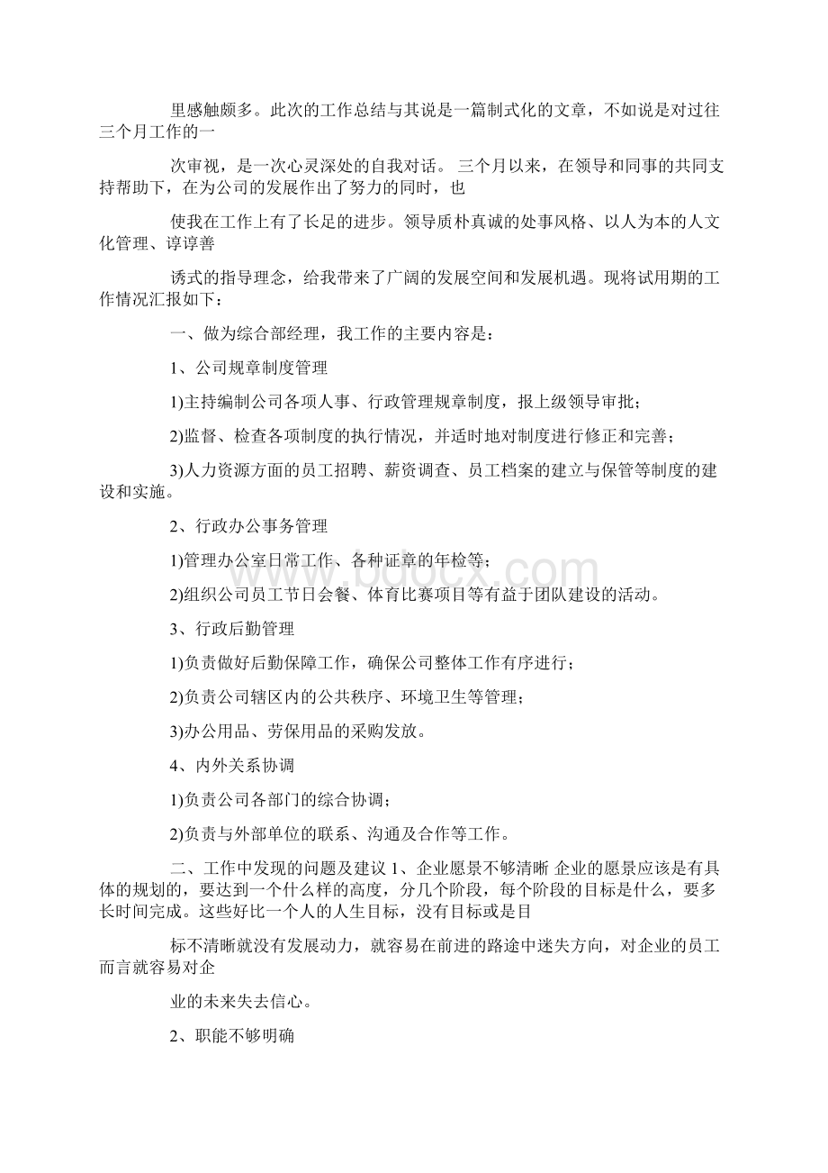 绩效主管转正申请总结文档格式.docx_第2页