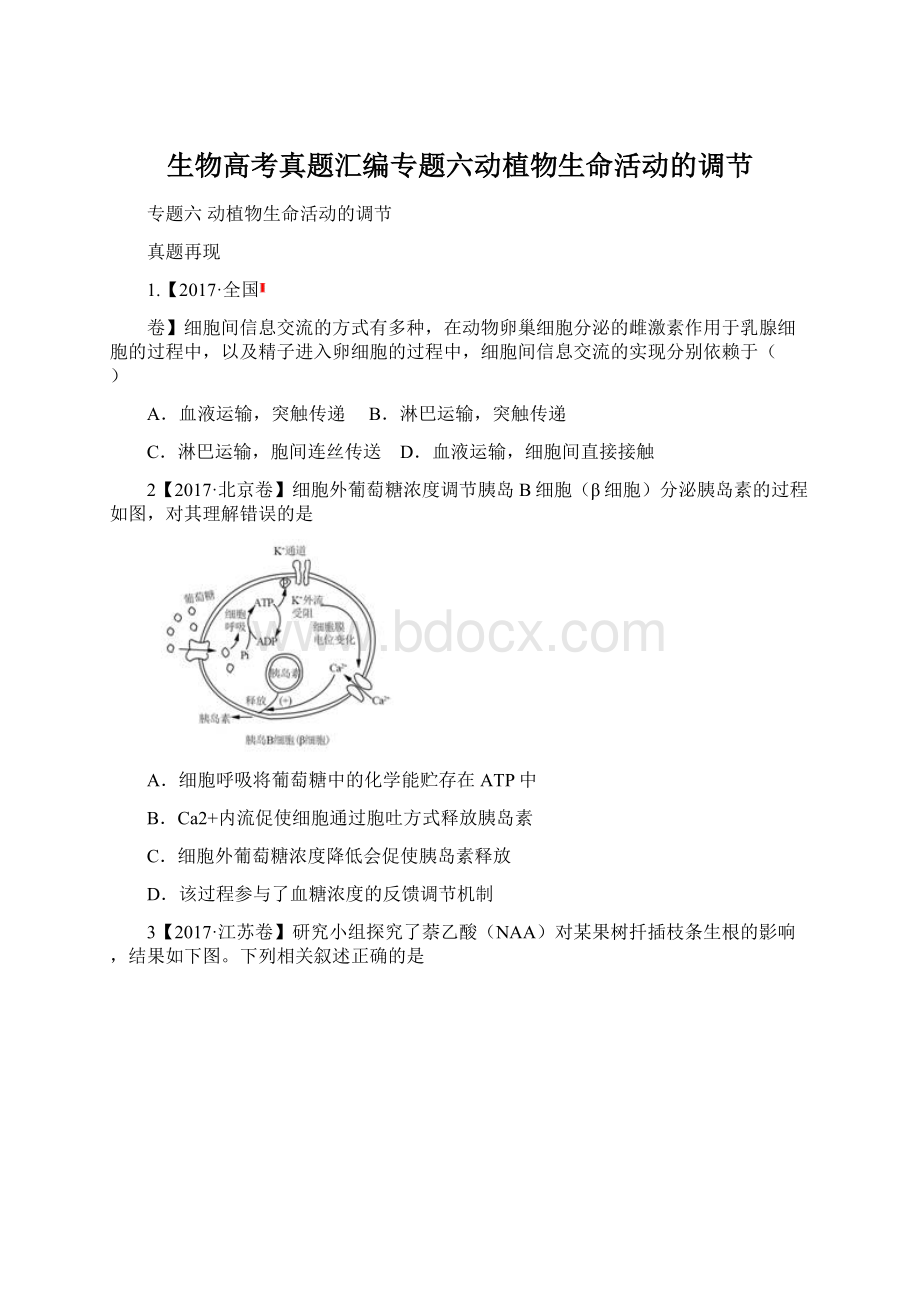 生物高考真题汇编专题六动植物生命活动的调节文档格式.docx