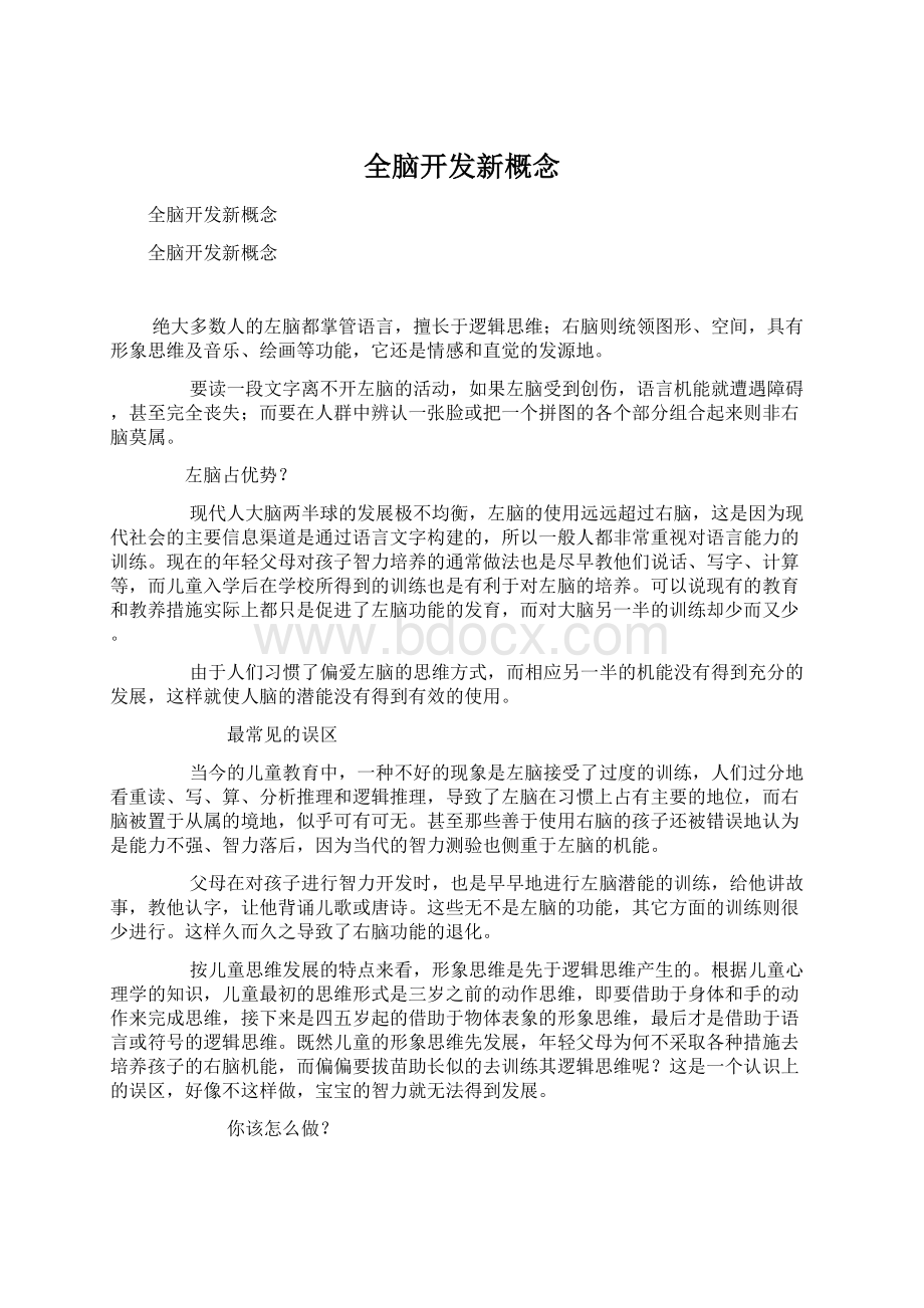 全脑开发新概念文档格式.docx