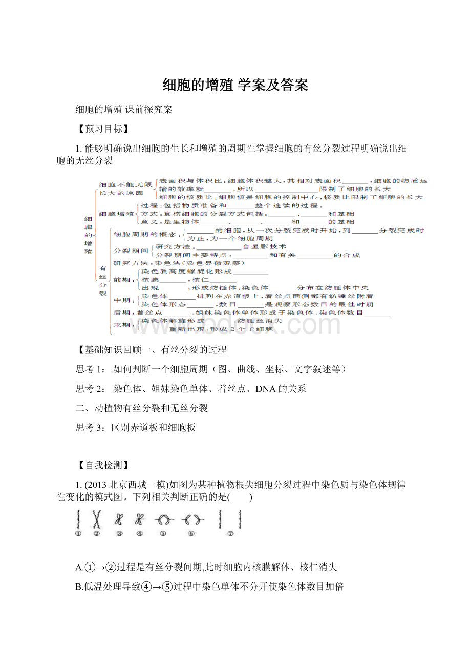 细胞的增殖 学案及答案.docx