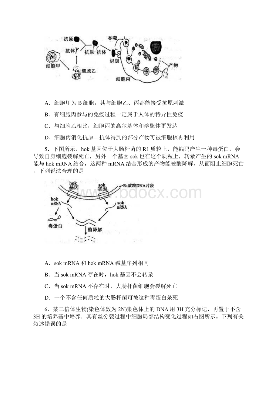 山东省济宁市届高三第二次模拟考试理综试题Word格式文档下载.docx_第2页