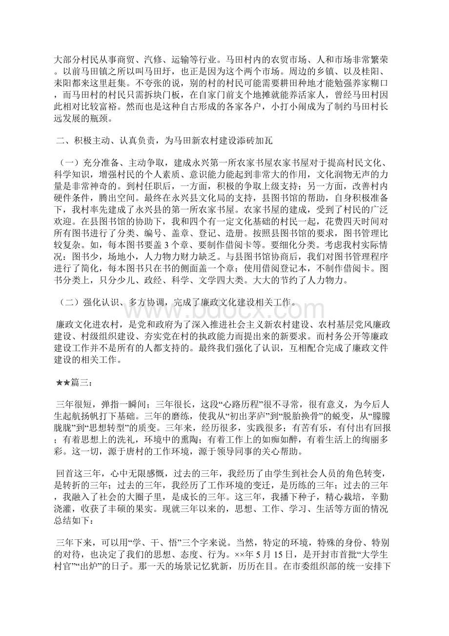 最新政府办公厅个人工作总结工作总结文档五篇.docx_第3页