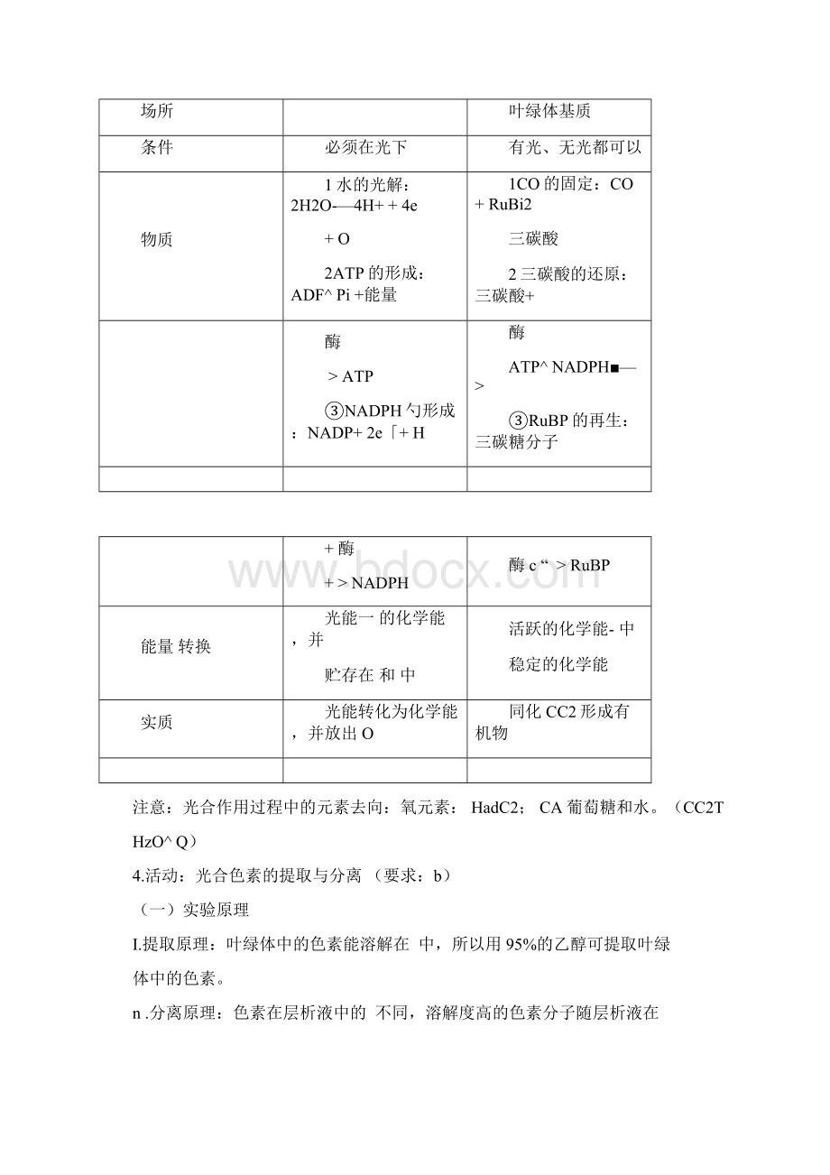 完整版浙科版光合作用知识点梳理及选考真题汇总文档格式.docx_第2页