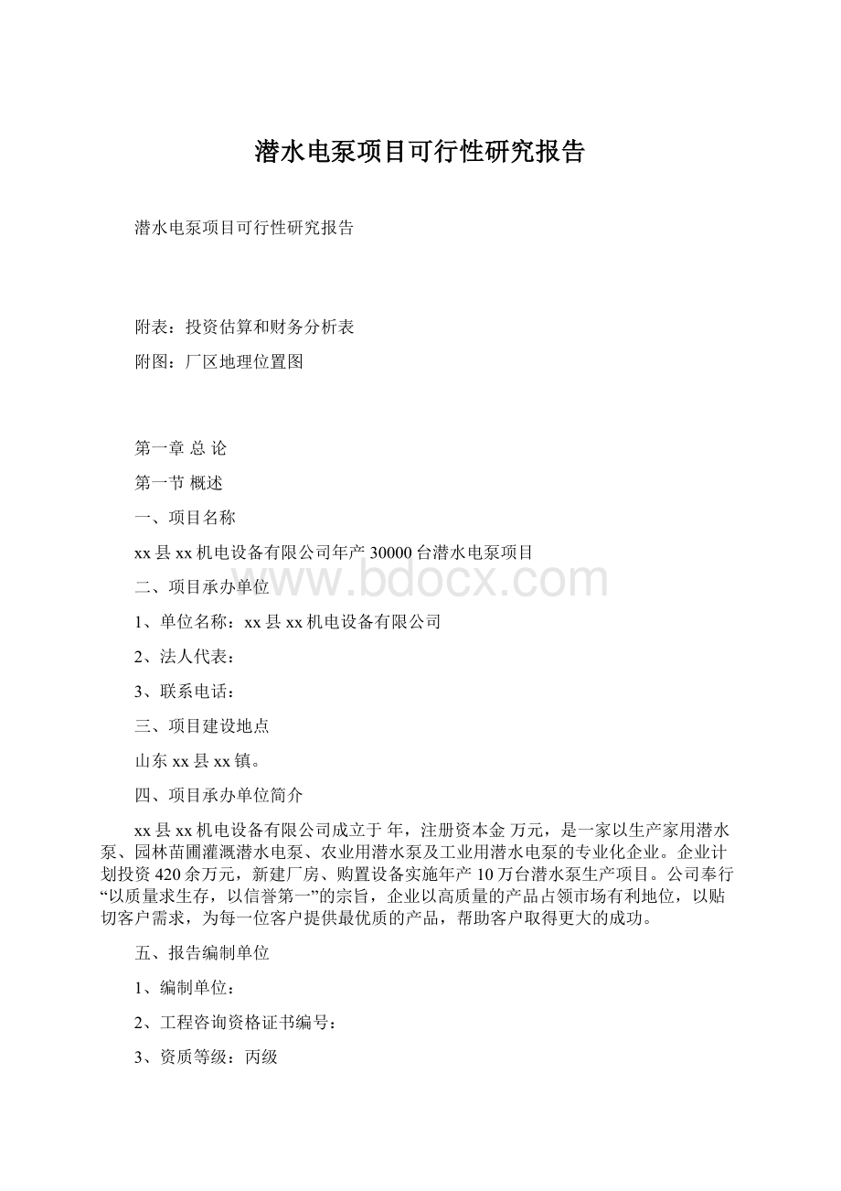 潜水电泵项目可行性研究报告Word文档格式.docx