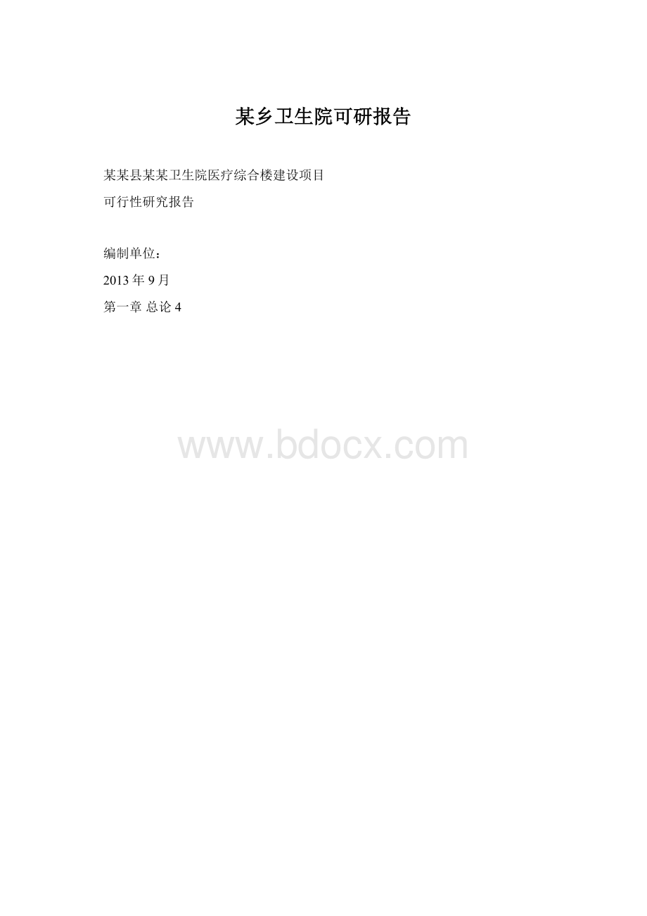 某乡卫生院可研报告.docx_第1页