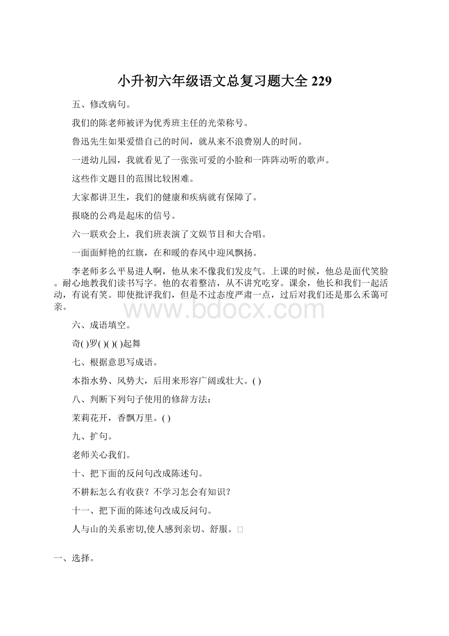 小升初六年级语文总复习题大全229文档格式.docx_第1页