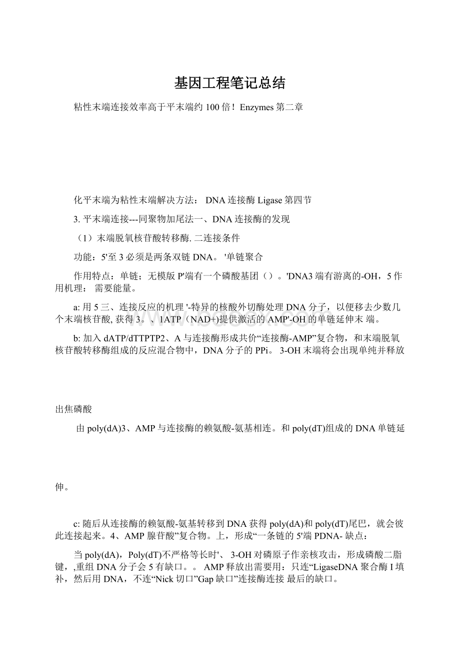 基因工程笔记总结Word下载.docx