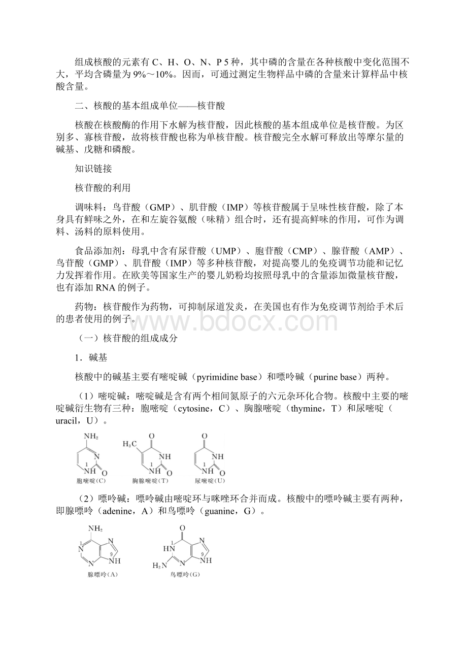 核酸化学汇编.docx_第2页