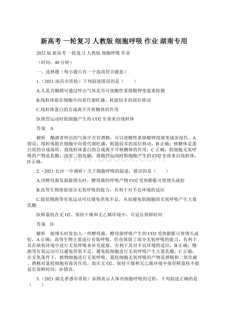 新高考 一轮复习人教版细胞呼吸作业 湖南专用.docx