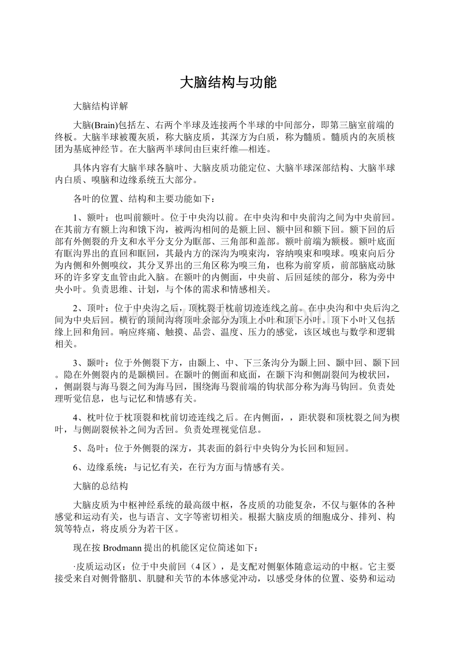 大脑结构与功能Word文档下载推荐.docx_第1页