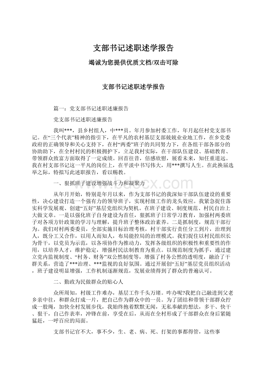 支部书记述职述学报告Word文档格式.docx