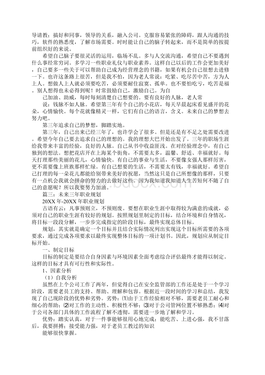 工作未来三年计划书Word格式文档下载.docx_第3页