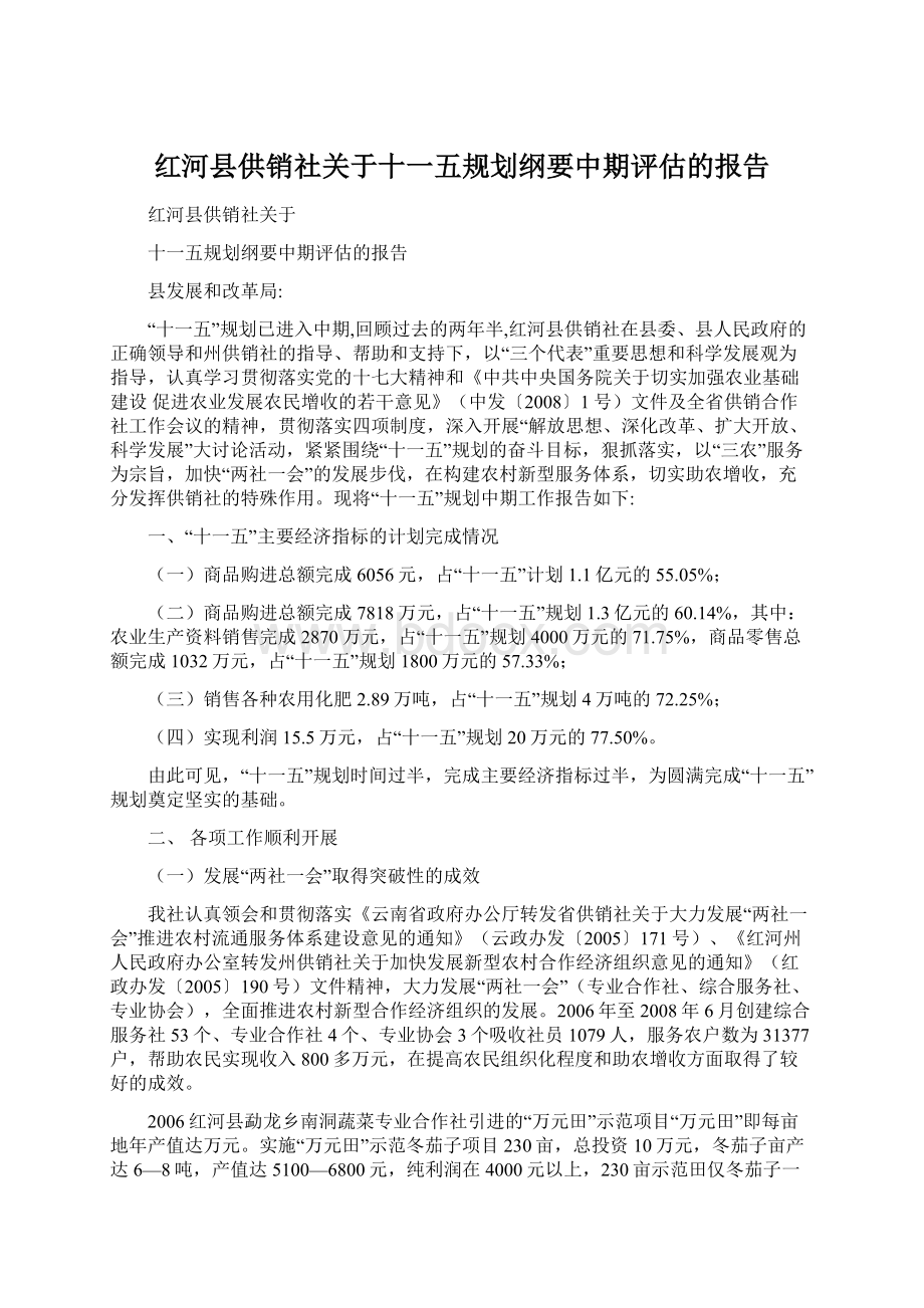 红河县供销社关于十一五规划纲要中期评估的报告文档格式.docx