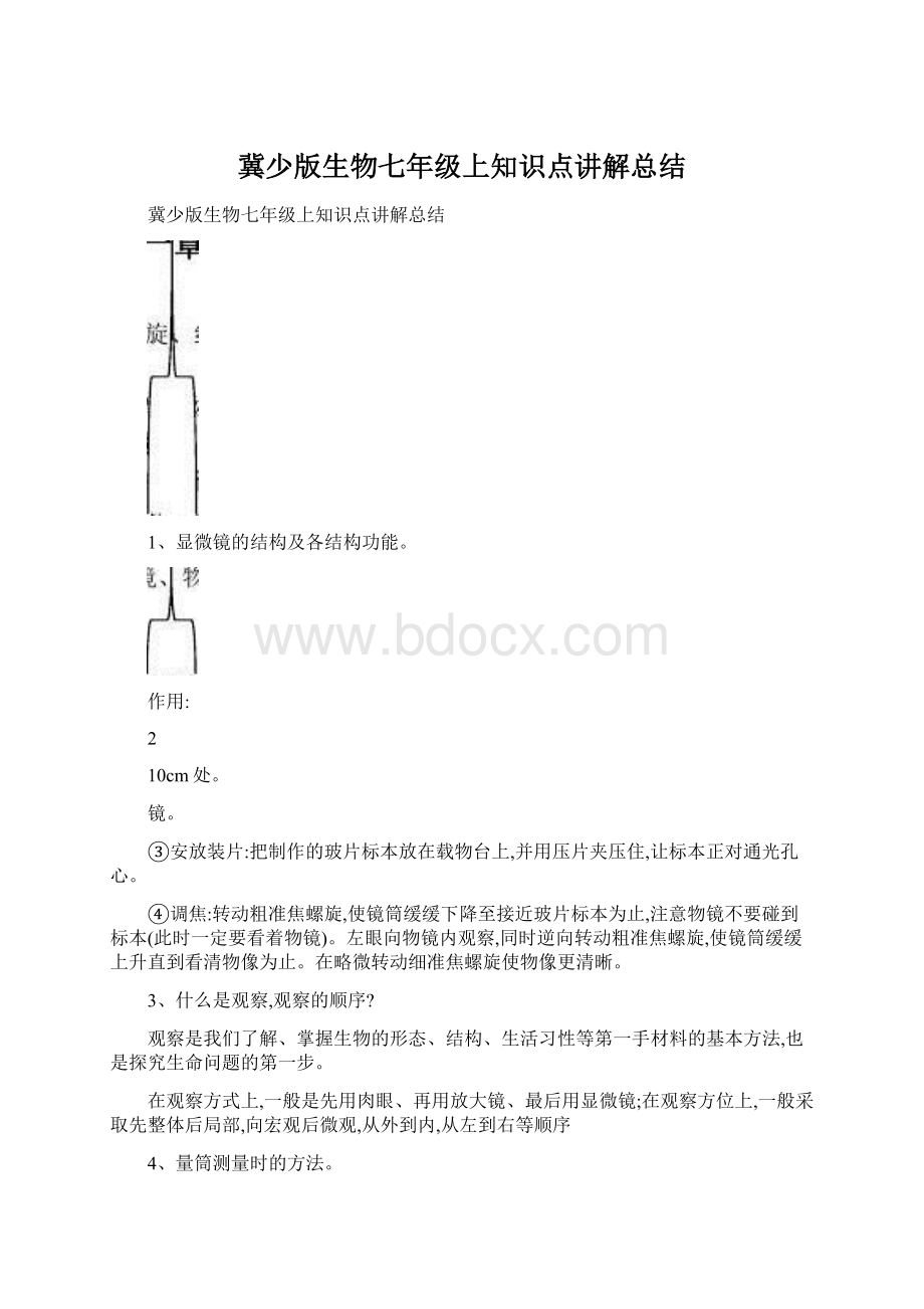 冀少版生物七年级上知识点讲解总结.docx